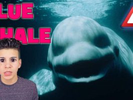Blue Whale Oyunu Yasaklandı ve Yapımcısı Tutuklandı 2