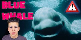 Blue Whale Oyunu Yasaklandı ve Yapımcısı Tutuklandı 2