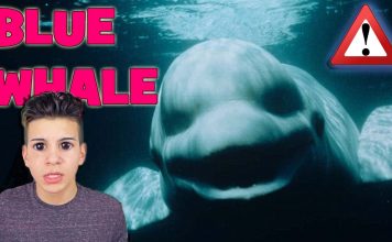 Blue Whale Oyunu Yasaklandı ve Yapımcısı Tutuklandı 2