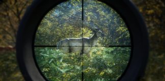 theHunter: Call of the Wild™ – Oyun Performansı – Oyun Özellikleri – İnceleme 1