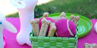 En Garip Oyunlara Bir Yenisi Daha Eklendi: Pet the Pup at the Party 2