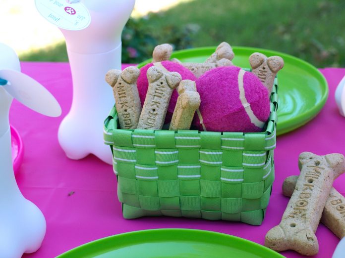 En Garip Oyunlara Bir Yenisi Daha Eklendi: Pet the Pup at the Party 2